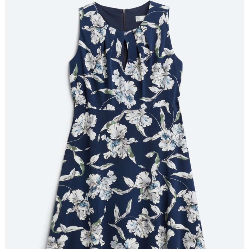 Wisp Sleeveless Floral Knit Dress